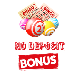 No deposit bingo bonus